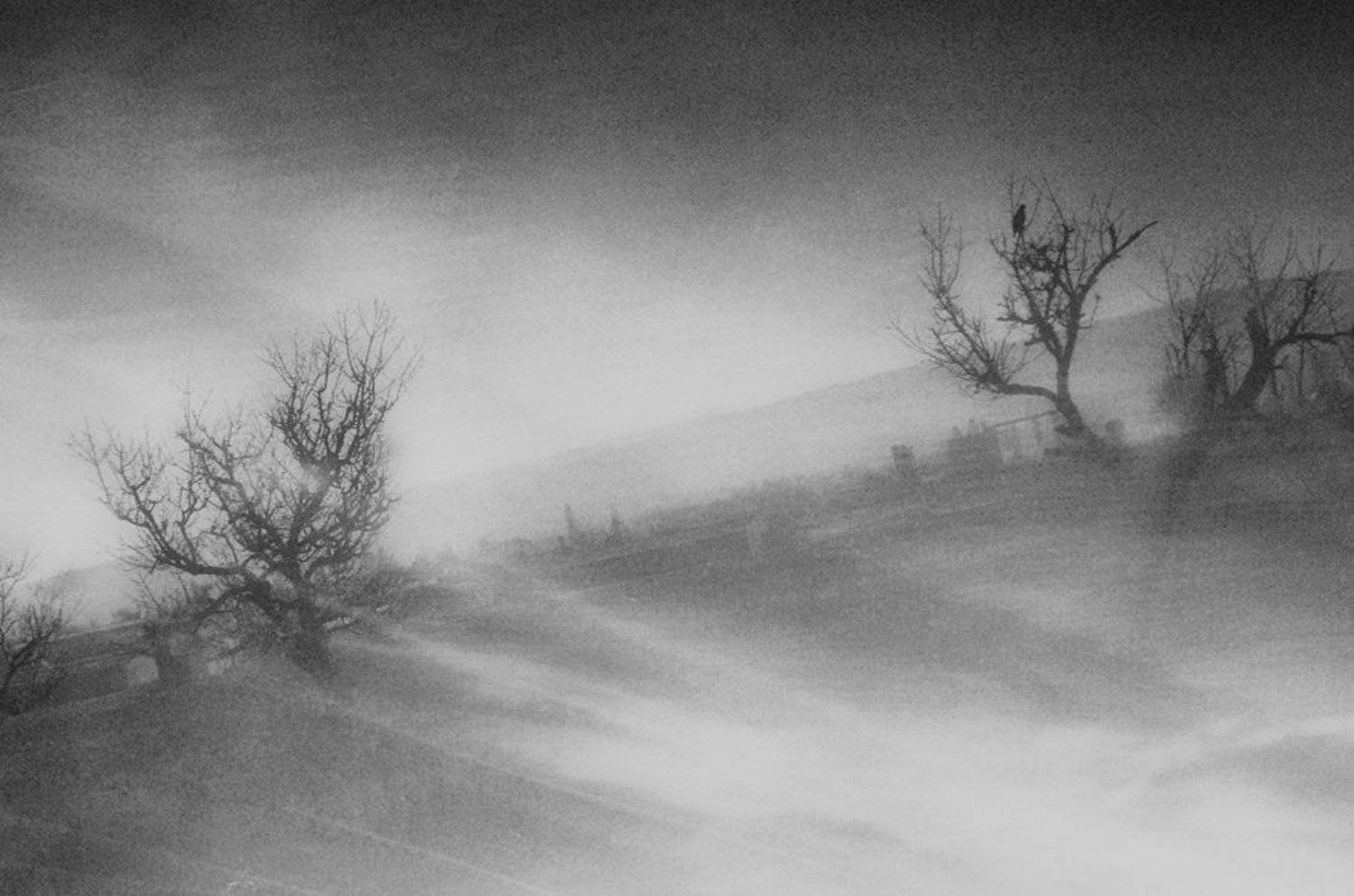 , janini (Жана Топчиева)