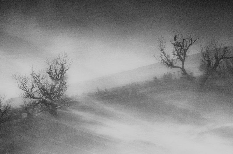 Импрессия фото превью