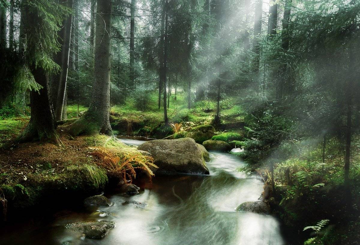 , Екатерина Тумовская