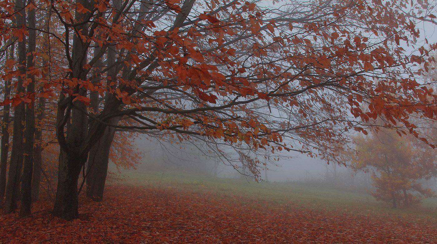 , Михаил  Пилипенко