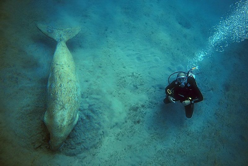 . фото превью