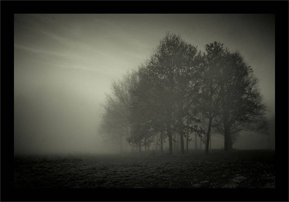 , Waldemar Wienchol