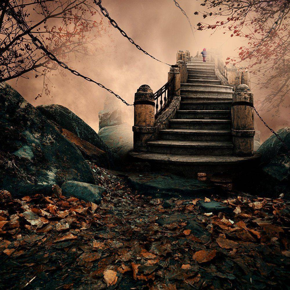 , Caras Ionut