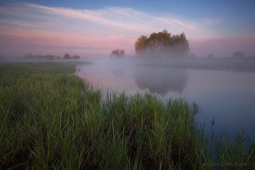 morning