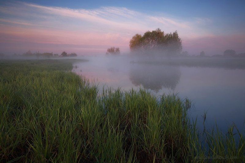 morning morning фото превью