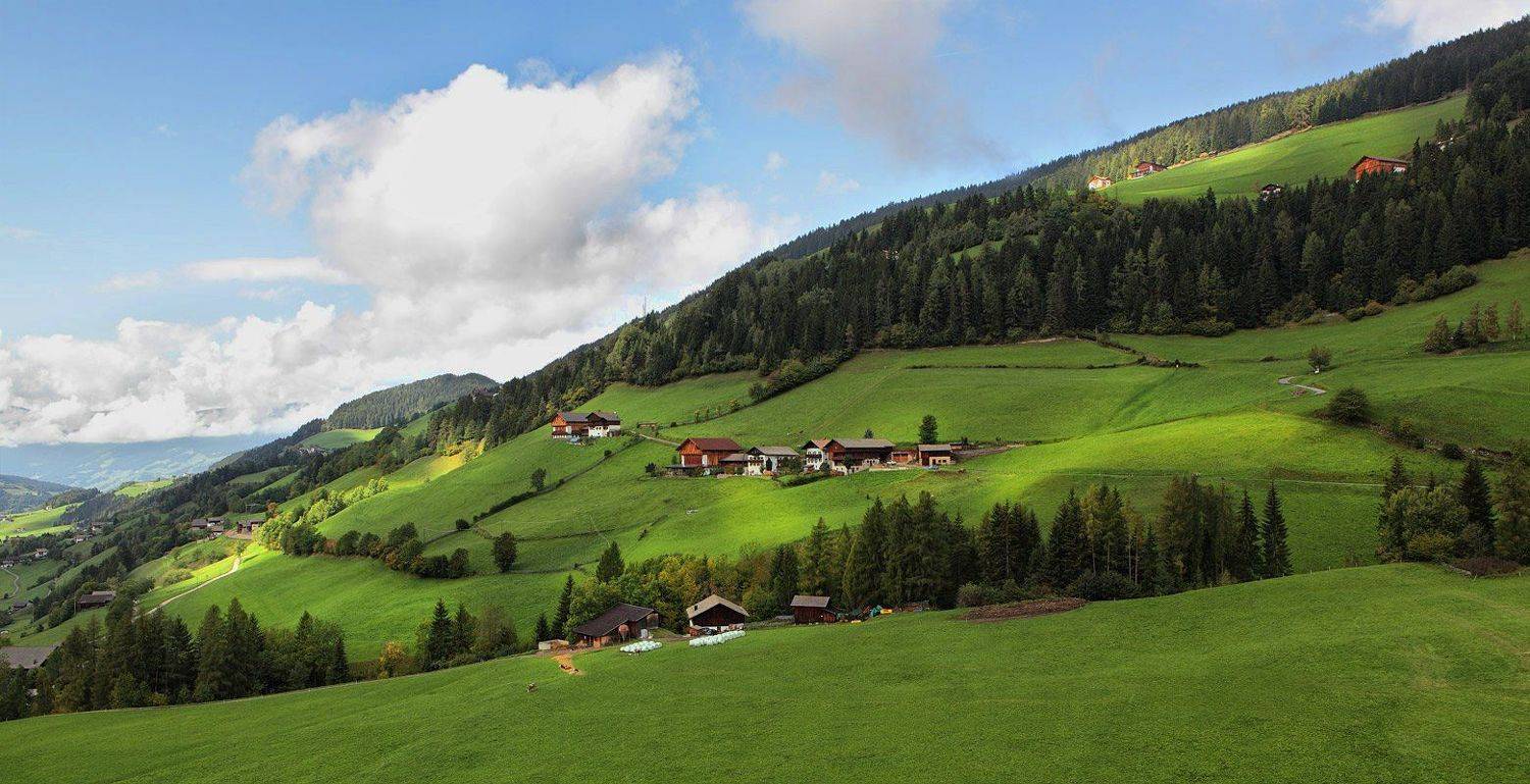 , Игорь Дубровский