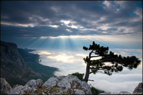 Туман над морем