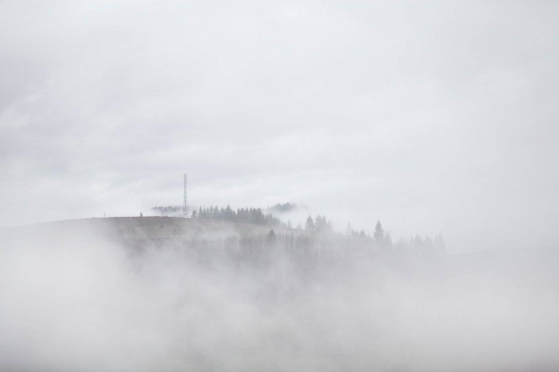 карпаты, ноябрь, осень, туман, Вейзе Максим