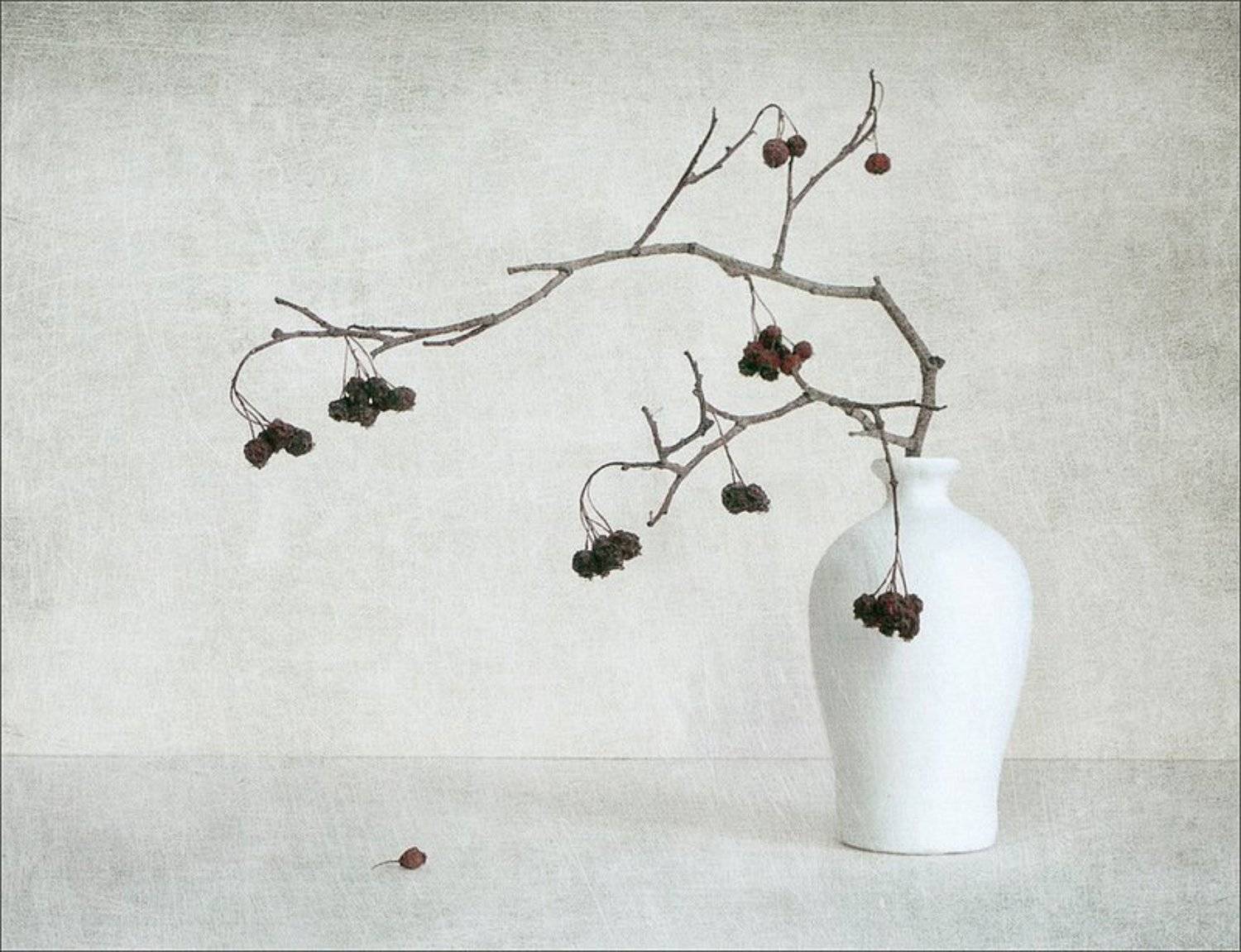 зима, Людмила Д