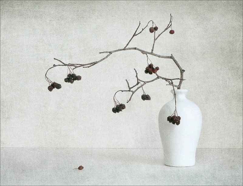 зима Это зима фото превью