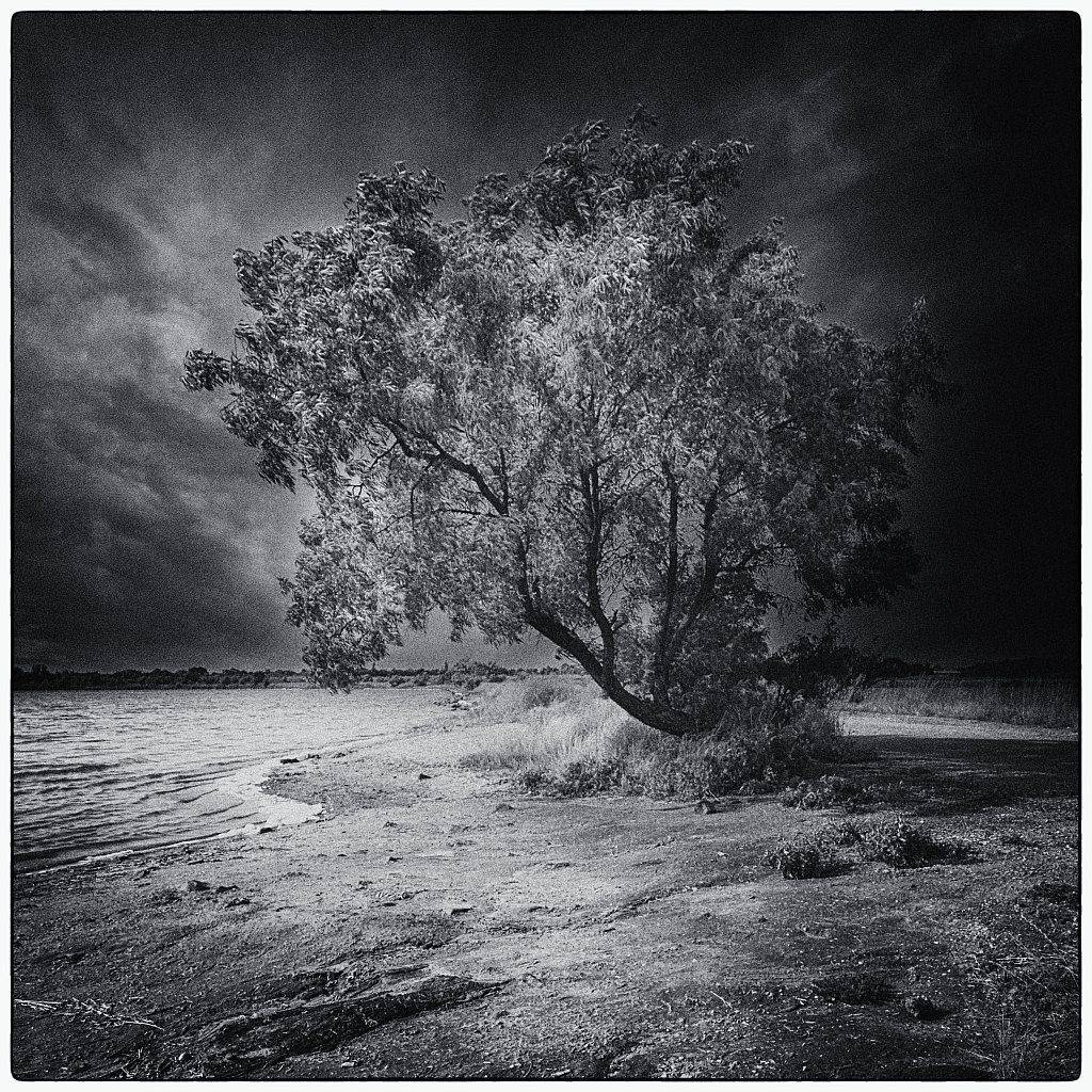 , Кізима Андрій