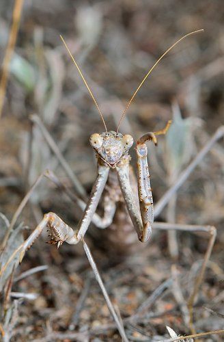 Пока, до следующей фотосессии!