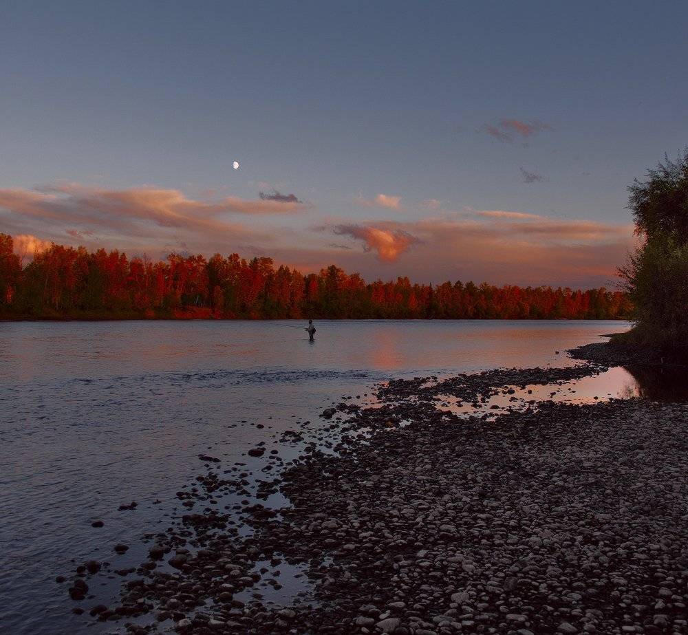 , Николай Морский