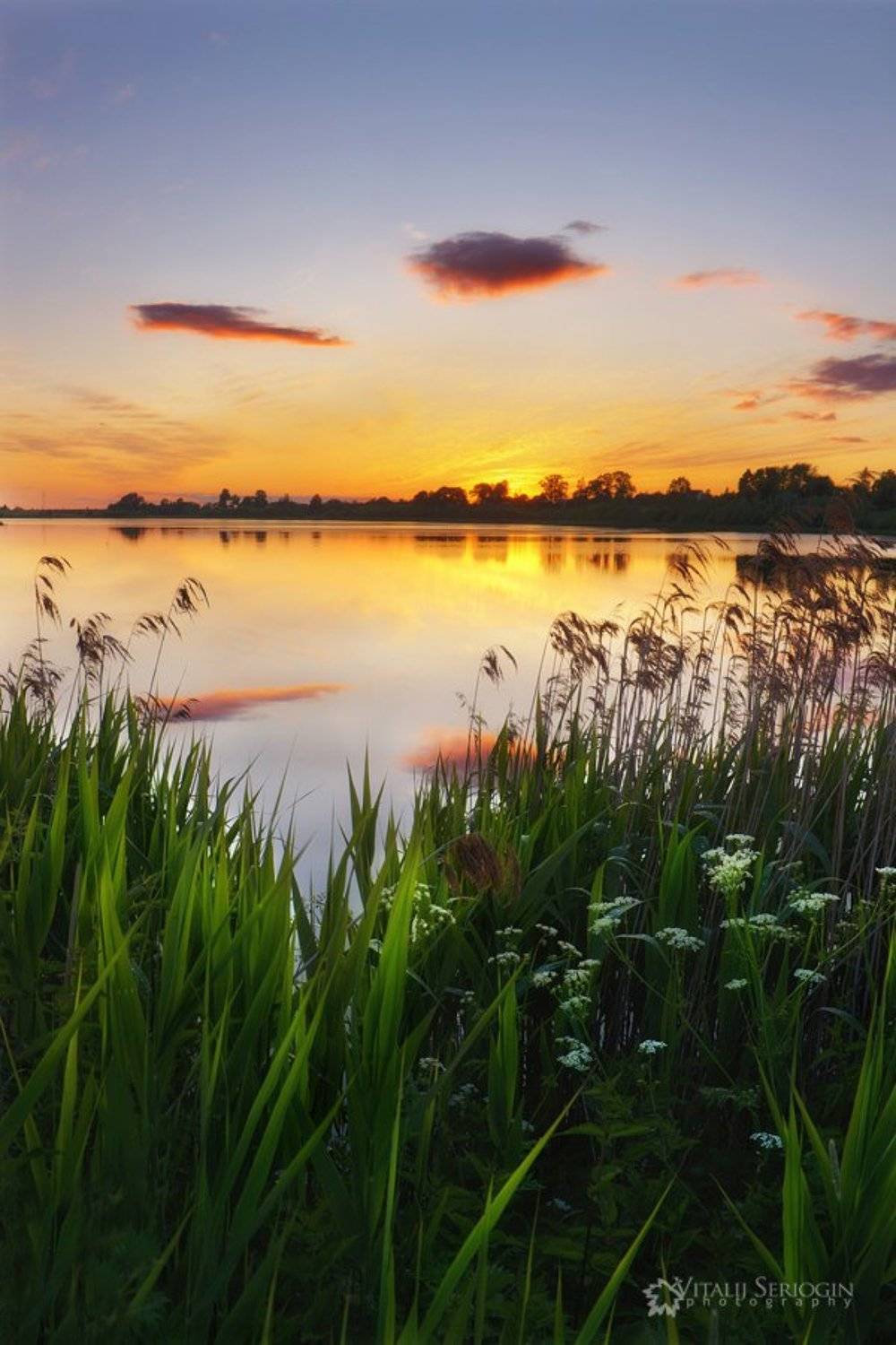 , Vitalijus Serioginas