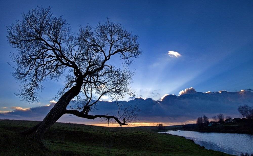 , Валерий Кондратов