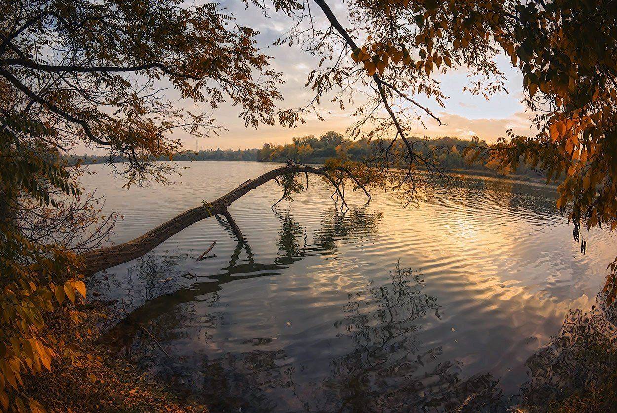 , Игорь Мелекесцев