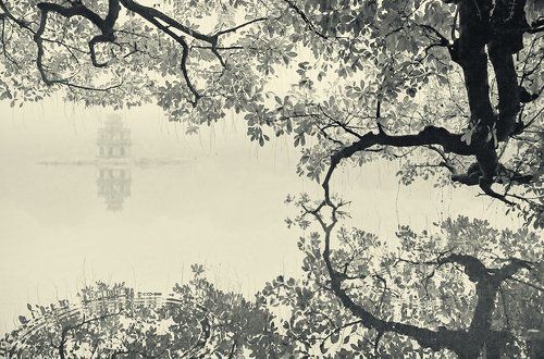 Черепаха Tower (Thap Rua)