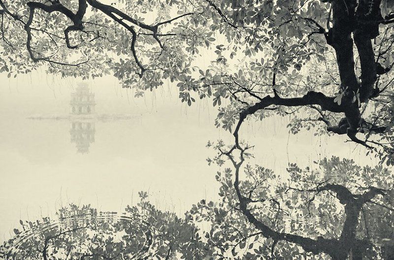 Черепаха Tower (Thap Rua) фото превью