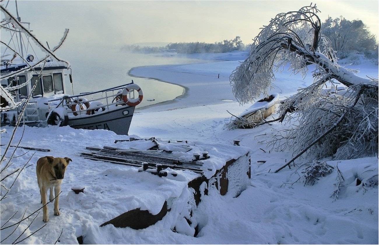 подмосковье, островцы, зима, река, Сергей Гаспарян
