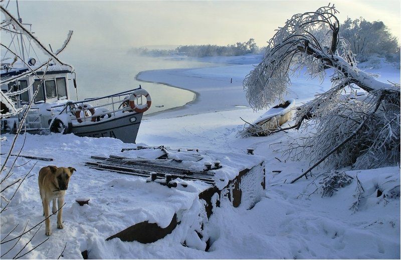 подмосковье, островцы, зима, река холодно фото превью