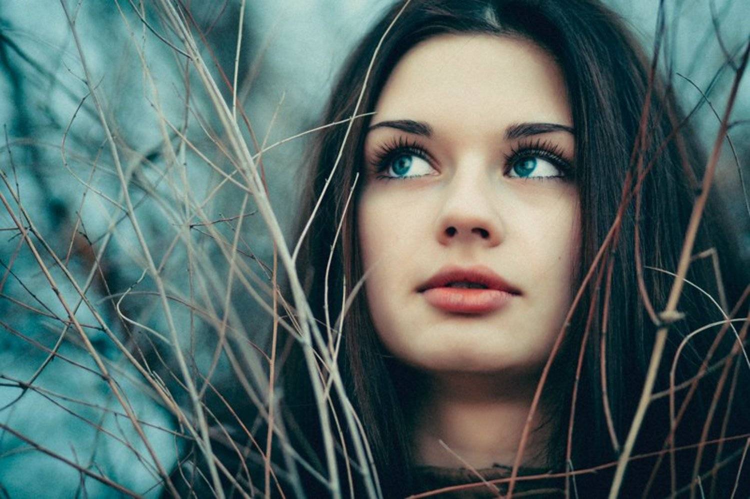 , Анастасия Стрельцова