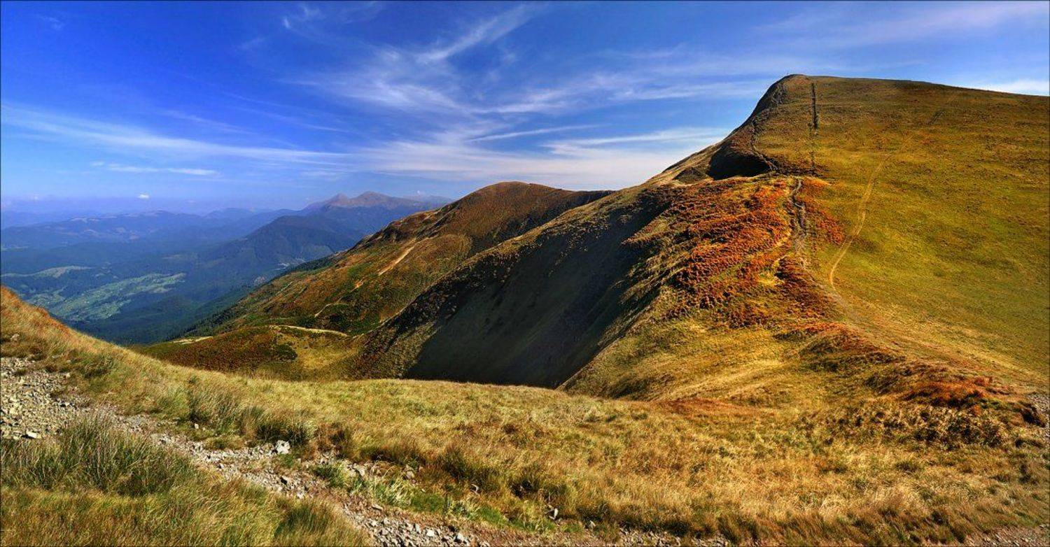 , Игорь Пастернак