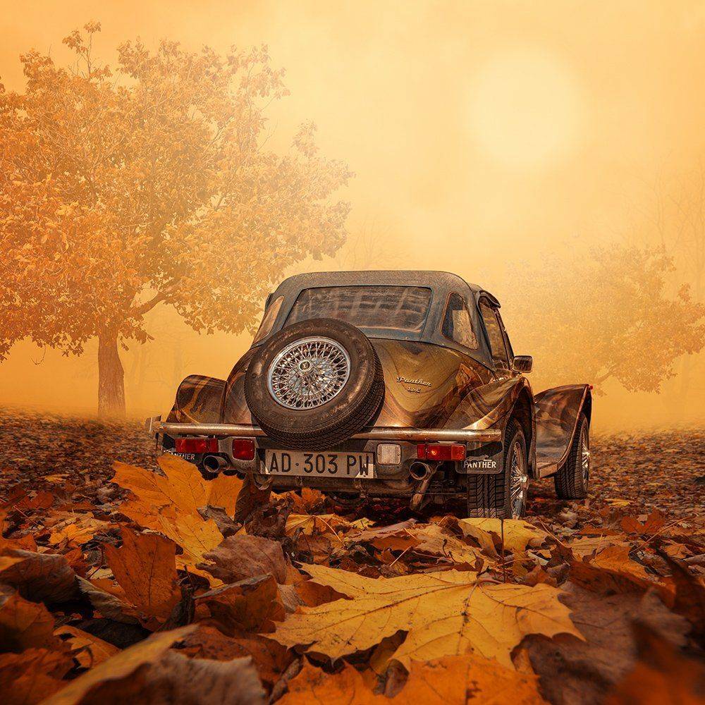 , Caras Ionut