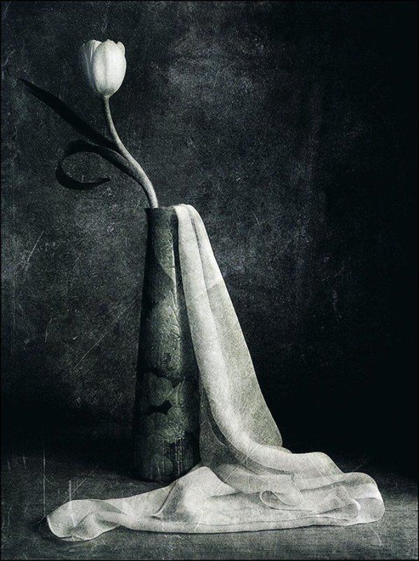 черно-белый * фото превью