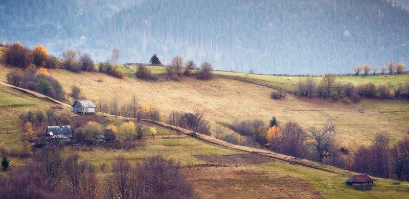 карпаты, осень, утро, свет, лес ...Домишки... фото превью