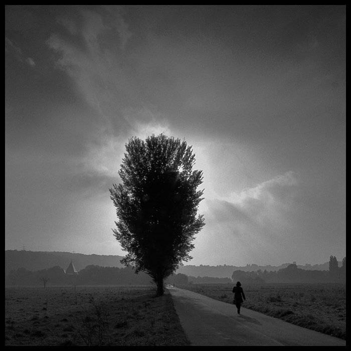 , Waldemar Wienchol