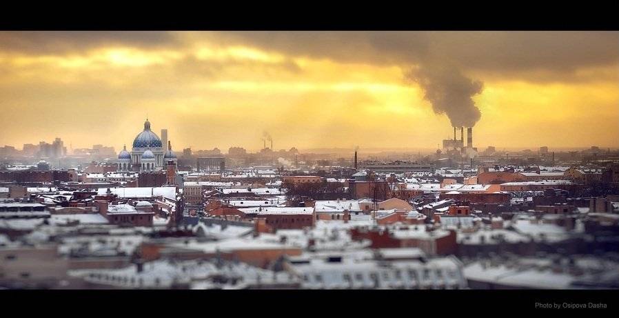 , Осипова Дарья