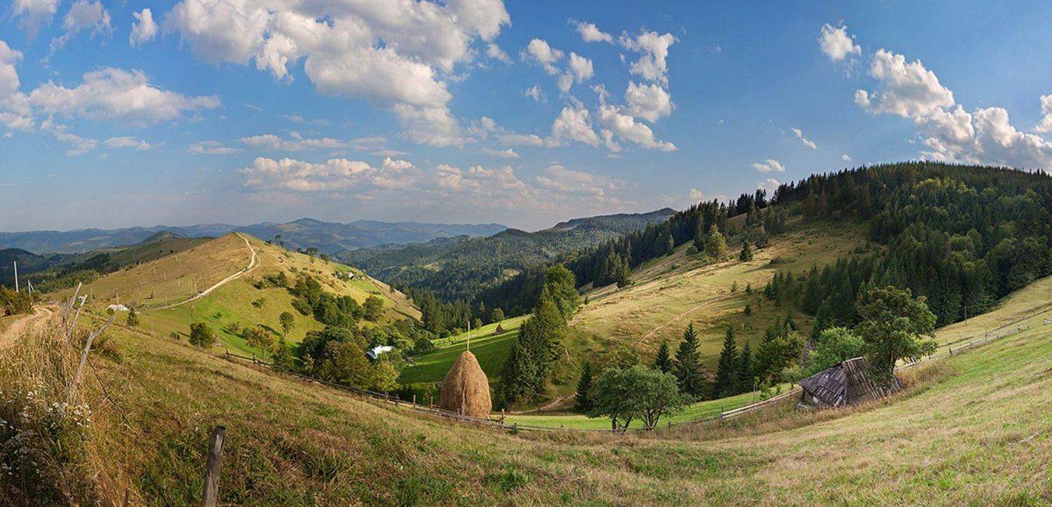 , Дмитриева Наталья