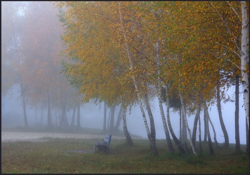 Золото в тумане фото превью