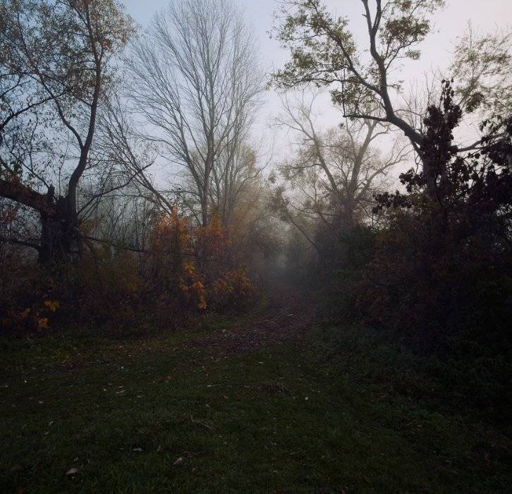 , Полищук И.В.