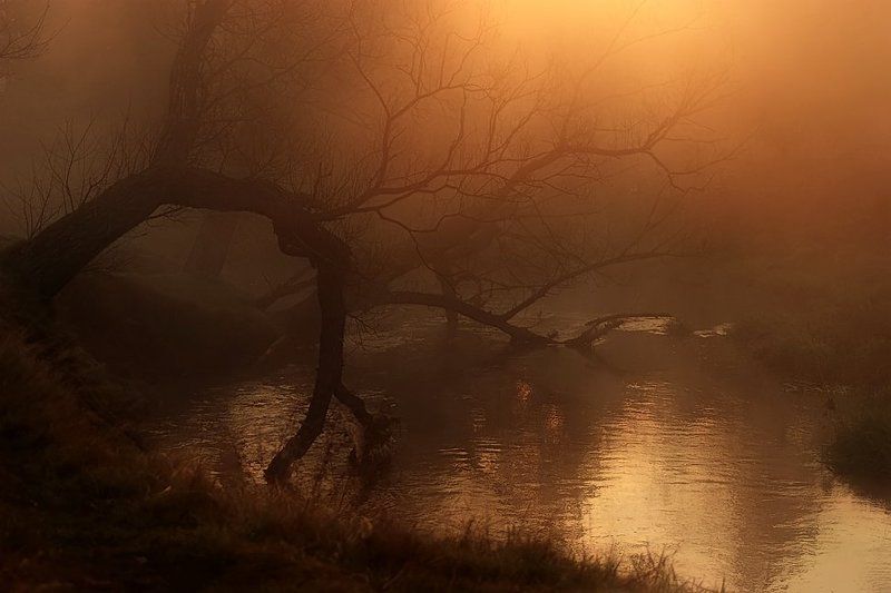 . фото превью