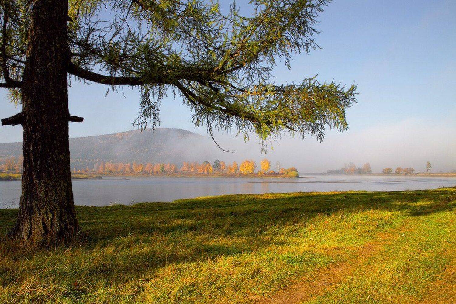 , Николай Морский