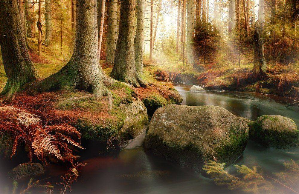 , Екатерина Тумовская