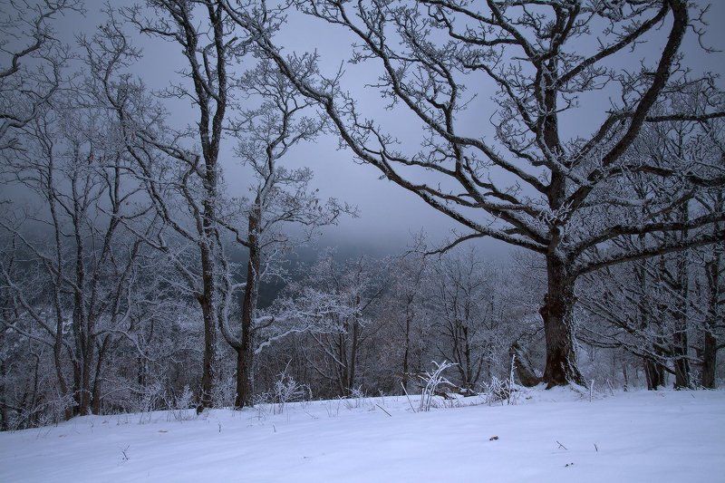 мезмай Морозная графика фото превью