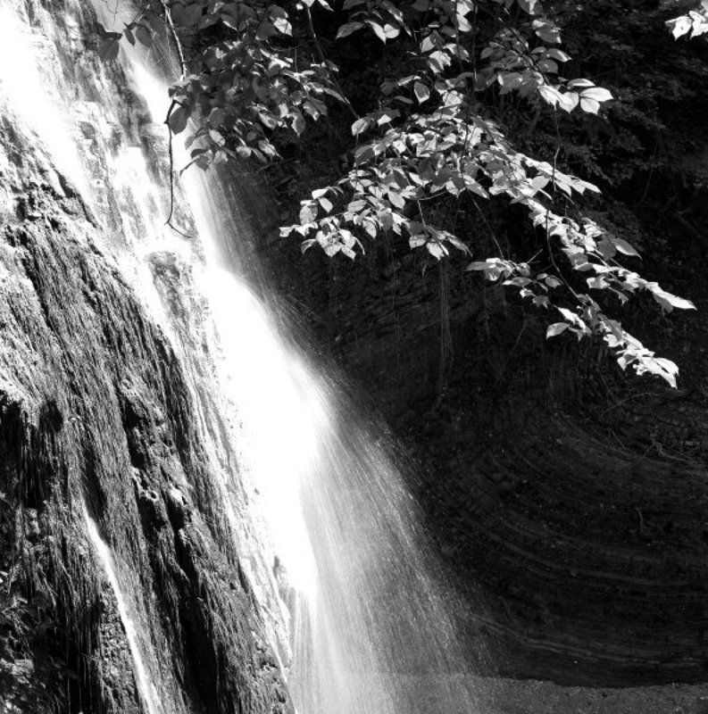 черно-белые картинки природы России фото превью