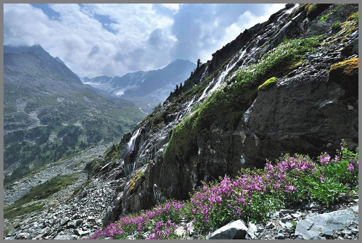 алтай, катунский хр. долина р. кони-айры, АНАТОЛИЙ ДОВЫДЕНКО