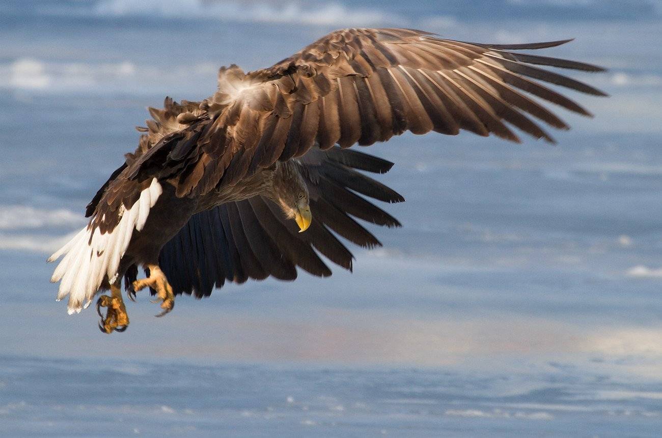 , Евгений Слободской