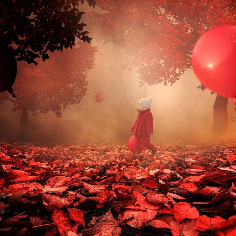 Joy of a red autumn фото превью