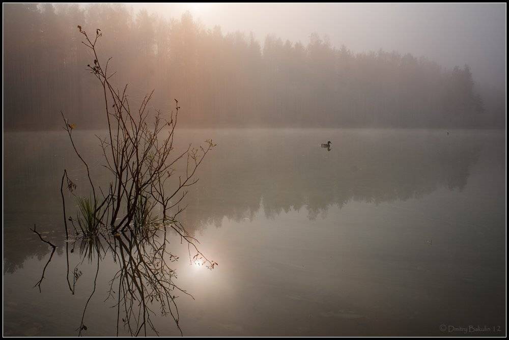 озеро, Дмитрий Бакулин