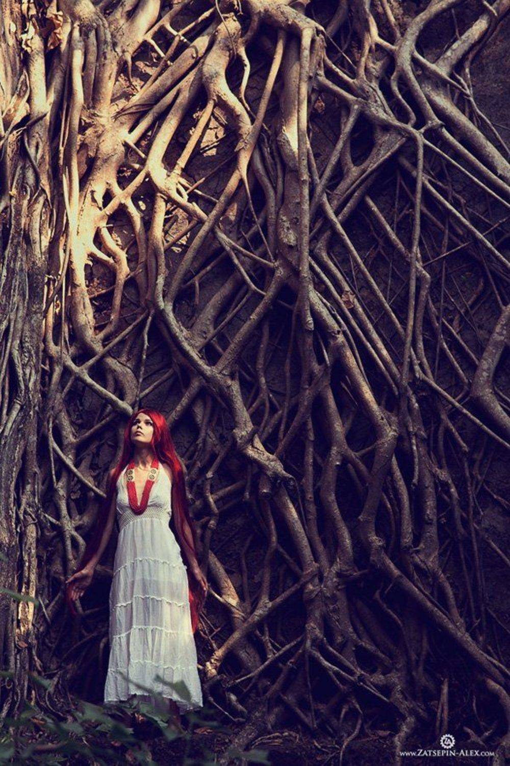 moira, Alex Zatsepin