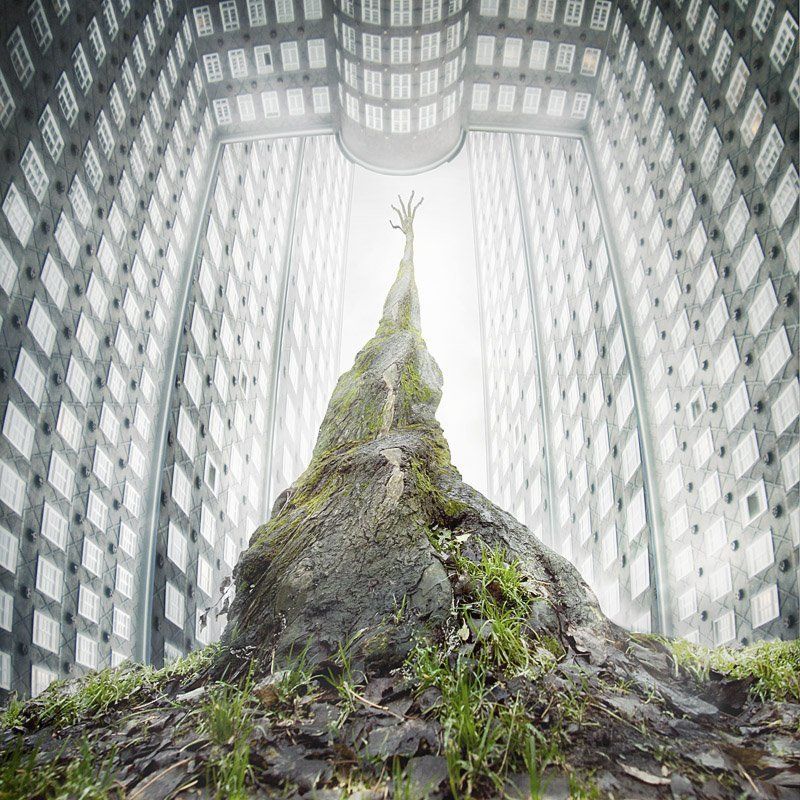 clash фото превью