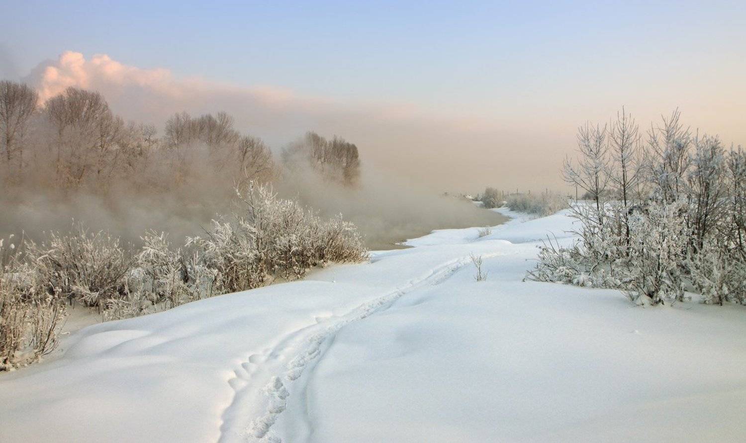 , Галина Хвостенко