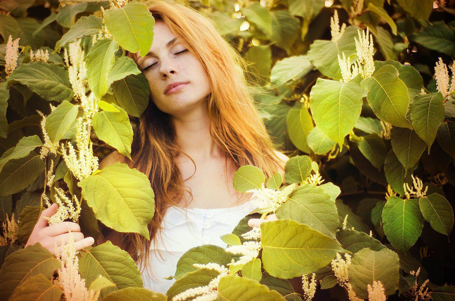 , Николай Давидчук