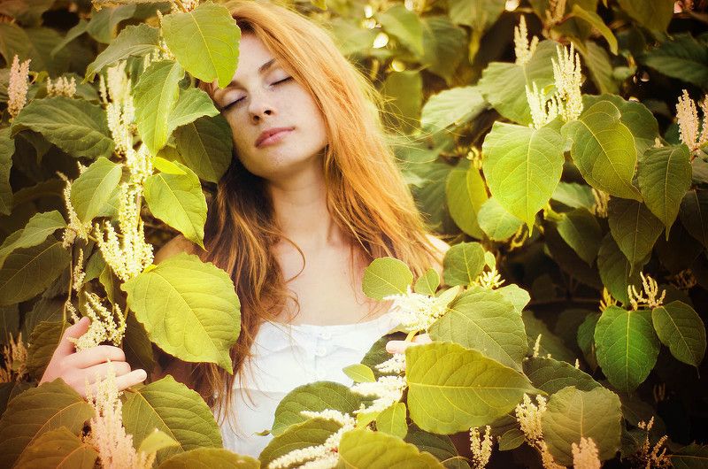 *** фото превью