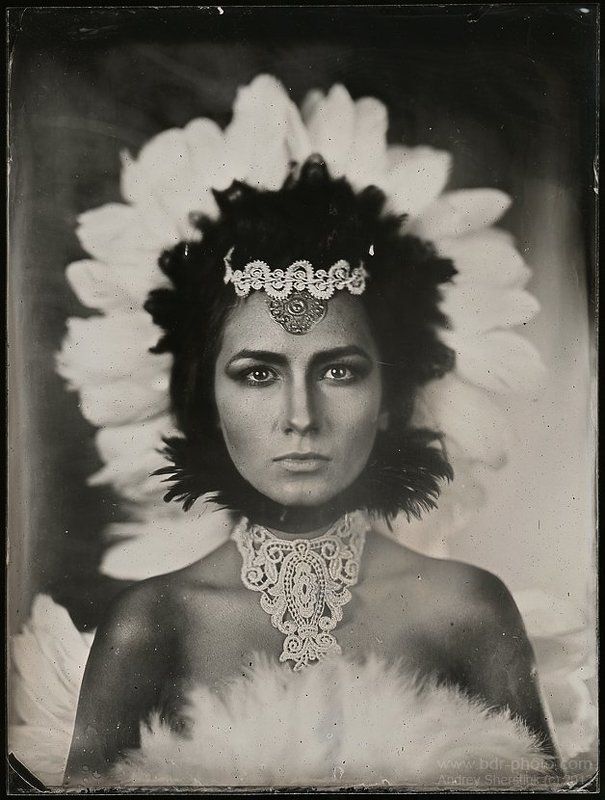 ambrotype Siren фото превью