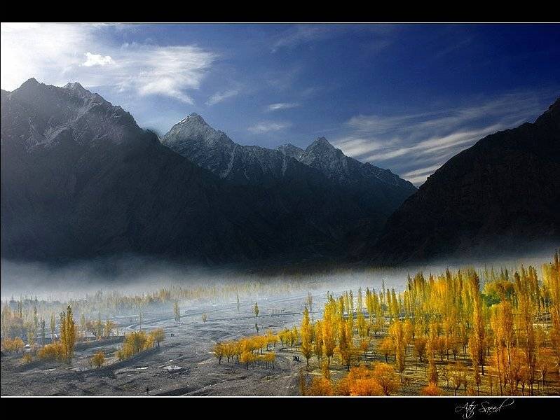 , M Atif Saeed